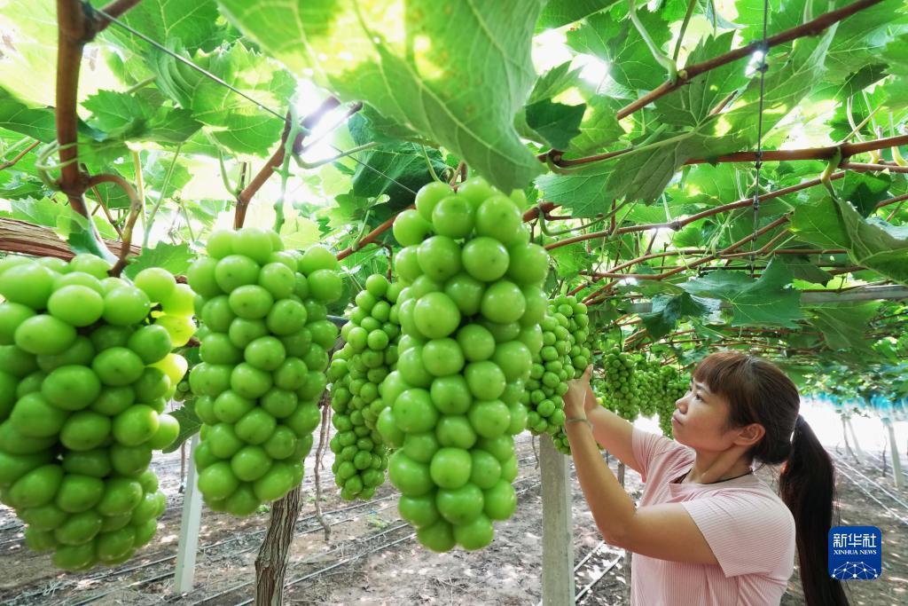 太阳集团网站78118